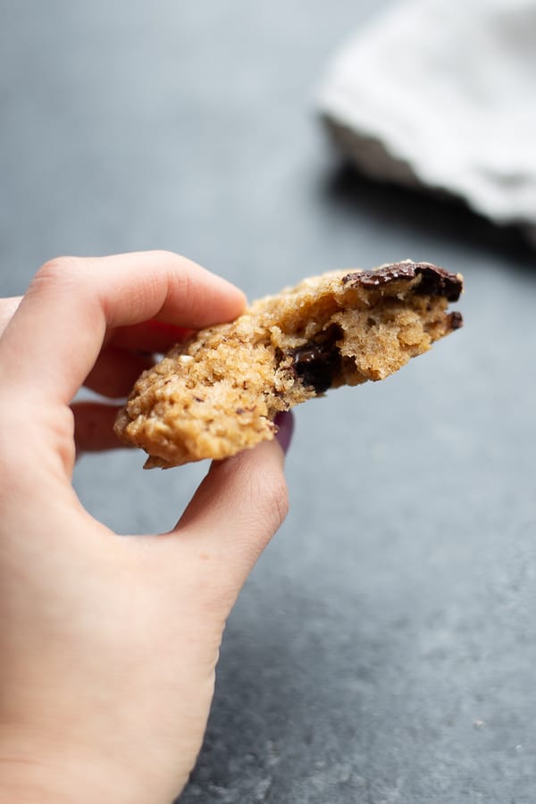 A chocolate peanut scone cookie broken in half