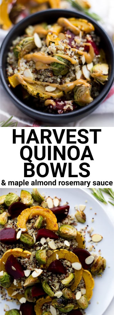 Harvest Quinoa Bowls with Maple Almond Rosemary Sauce: these bowls are vegan, gluten free, and full of fall vegetables! The thick and creamy maple almond rosemary sauce is not to be missed! || fooduzzi.com recipe