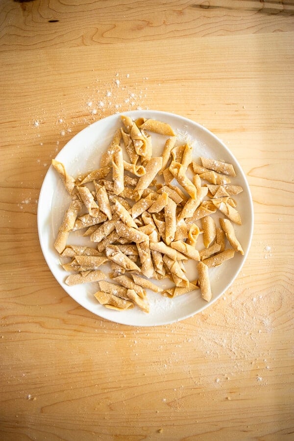 a plate of homemade garganelli pasta on a wooden surface