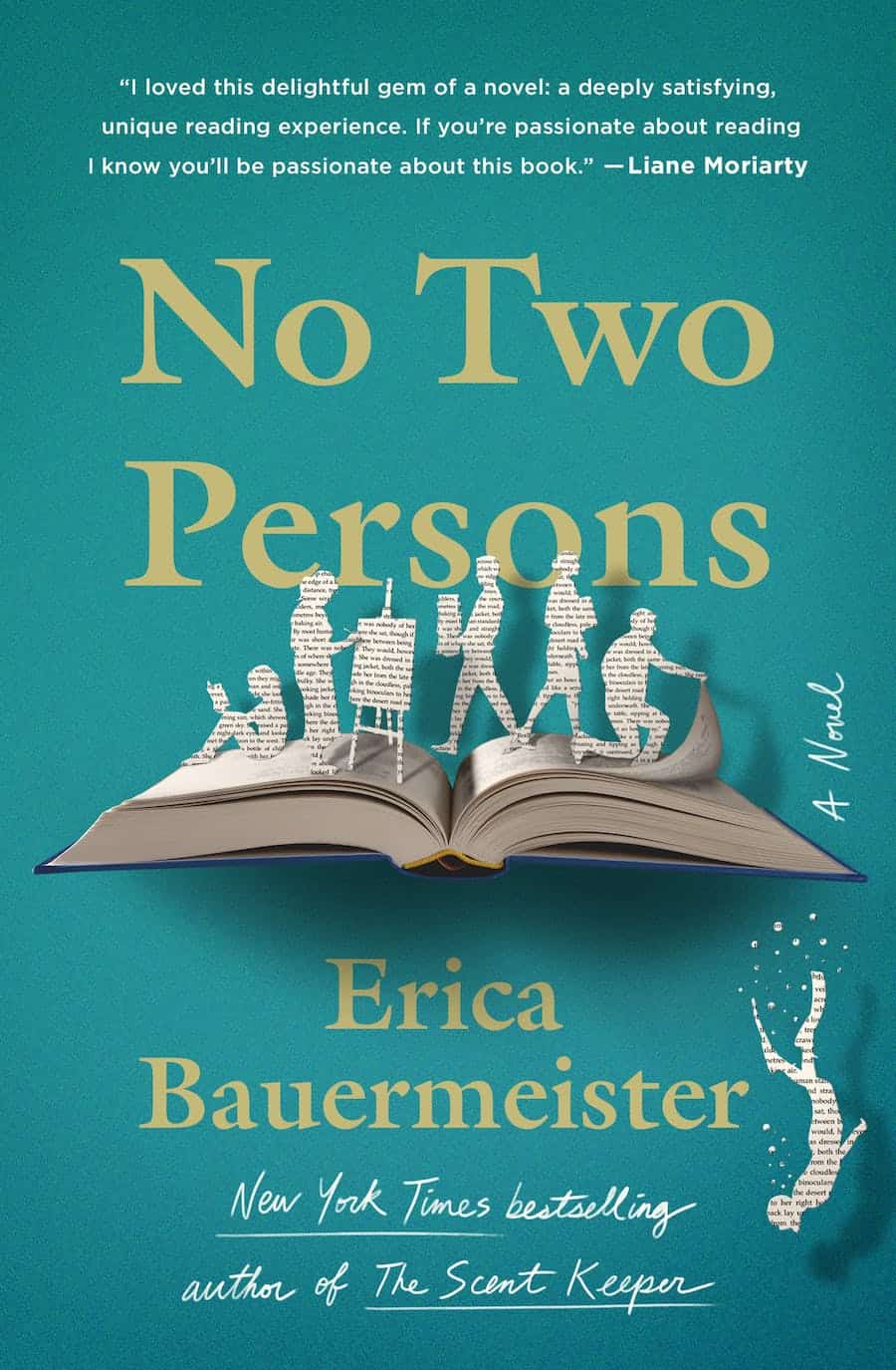 the cover of No Two Persons by Erica Bauermeister