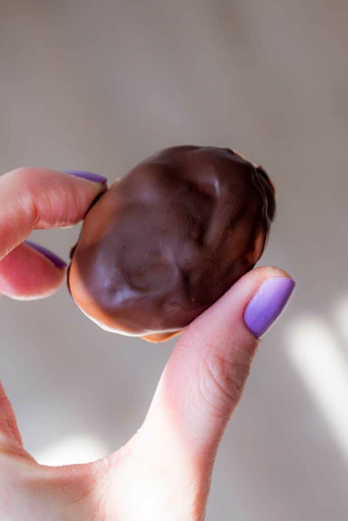 a hand holding a homemade vegan peanut butter egg