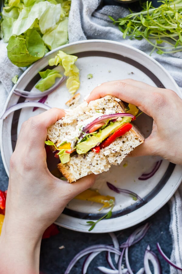 rainbow veggie sandwich being held on a plate