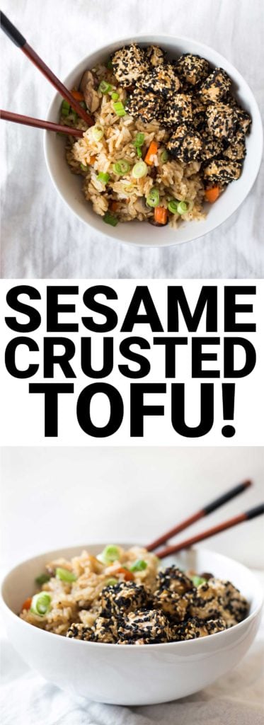 Sesame Crusted Tofu: An easy vegan and gluten free protein to add to any meal! Delicious on top of fried rice, Asian noodles, or salads, and it's ready in 30 minutes! || fooduzzi.com recipe