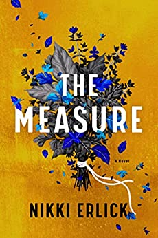 the cover of The Measure by Nikki Erlick