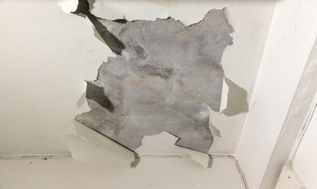 Understanding Slab Leaks: Causes, Detection, and Repair Solutions