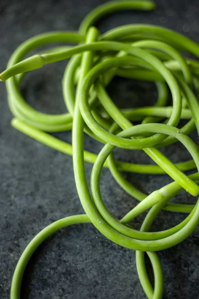 garlic scapes on a dark background