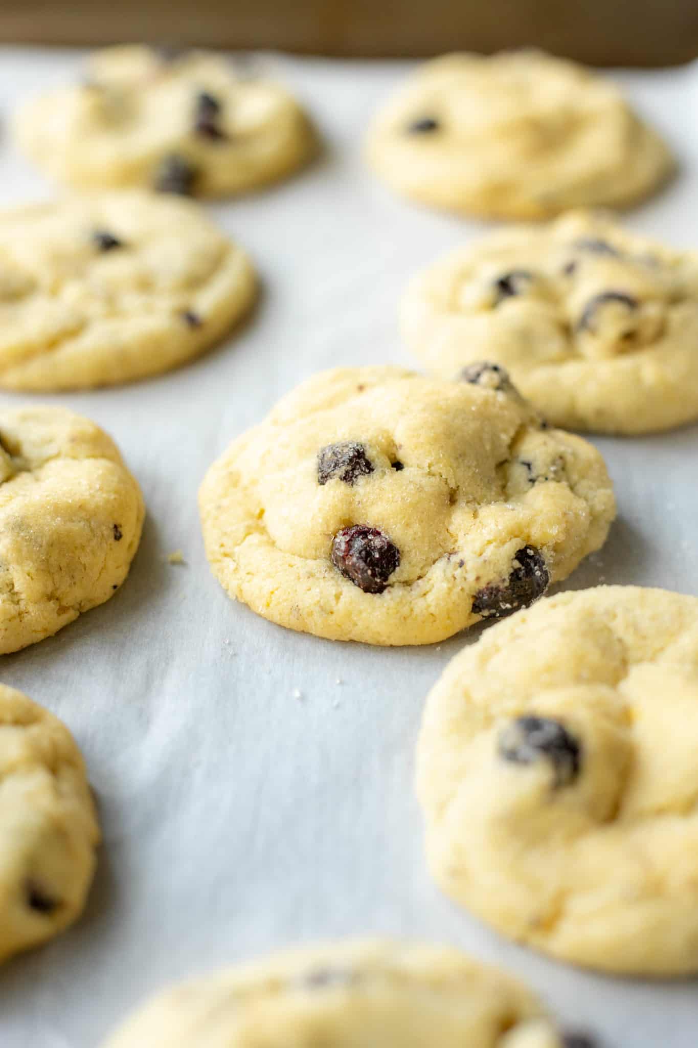 baked vegan lemon blueberry sugar cookies on a parchment-lined baking sheet